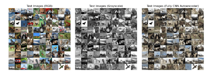 Grayscale Image Colorizer